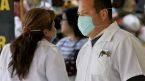 Un virus B ia locul gripei porcine