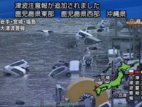 Cutremur urmat de tunami apocaliptic in Japonia