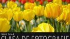 Vernisaj Clasa de Fotografie 9