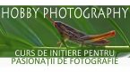 Curs de Initiere prntru pasionatii de Fotografie perioada 12 noiembrie 2011 - 14 ianuarie 2012