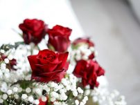Comanda online buchete de trandafiri la cele mai mici preturi!